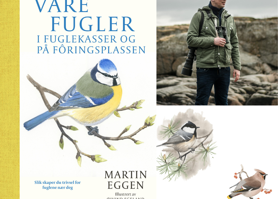 🐦 Tirsdag 17. mars kl. 18.00: &laquo;Våre fugler&raquo; – foredrag med Martin Eggen (i samarbeid med BirdLife)