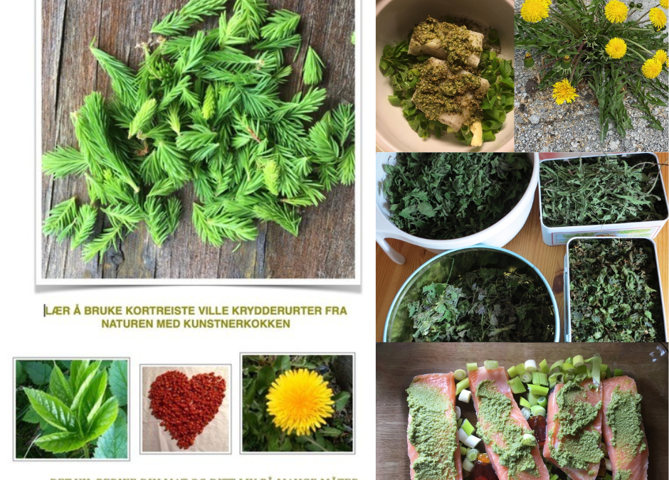 🌱&raquo;Fra naturens spiskammer – nyttevekster vi kan spise&raquo; med Mona Lundby